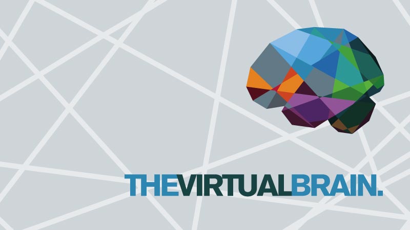 The Virtual Brain: Software Downloads