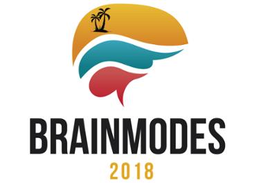 brainmodes2018.png