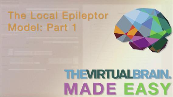 VIDEO: The Local Epileptor: Part 1