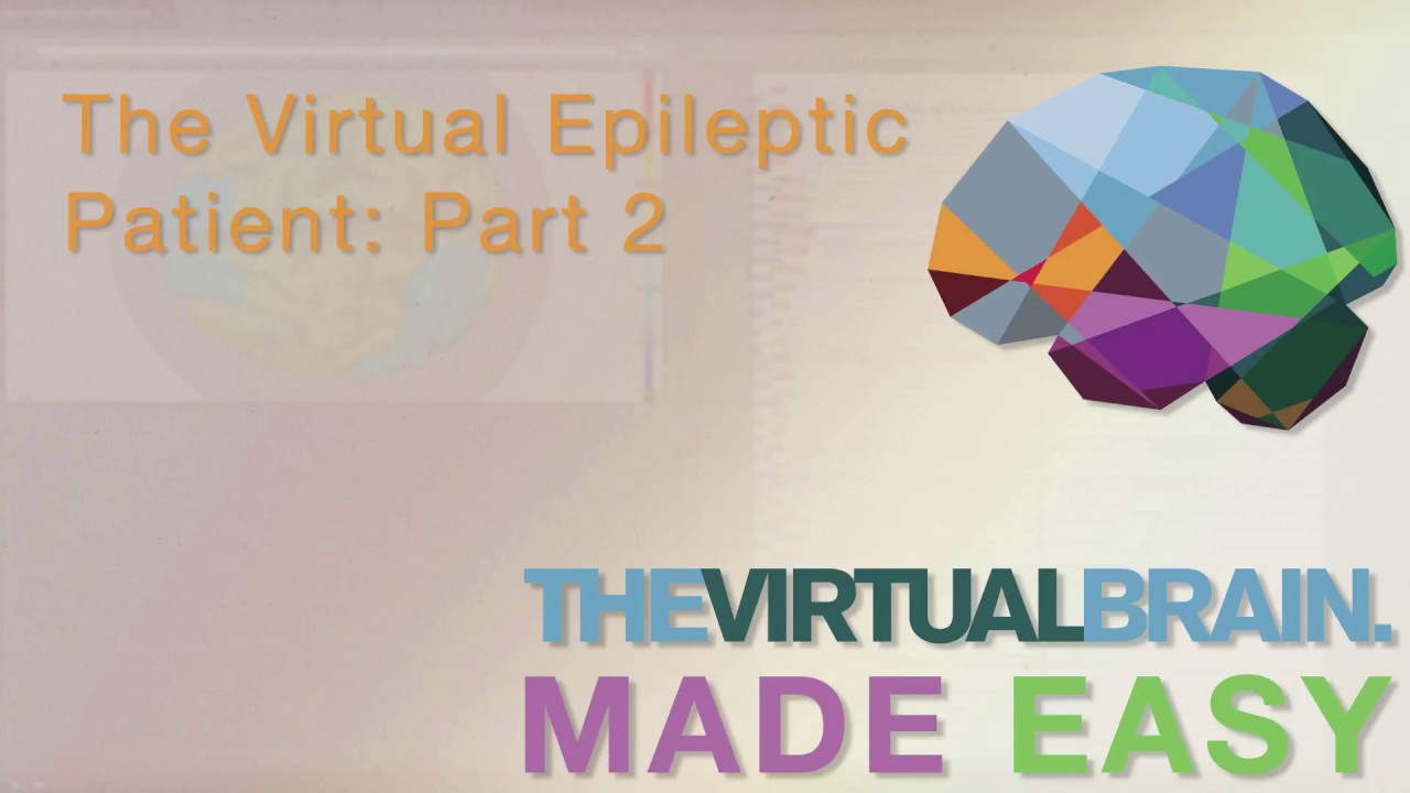 VIDEO: The Virtual Epileptic Patient: Part 2