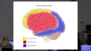 VIDEO: TVB Clinical Applications - Part I: Stroke Recovery & Dementia