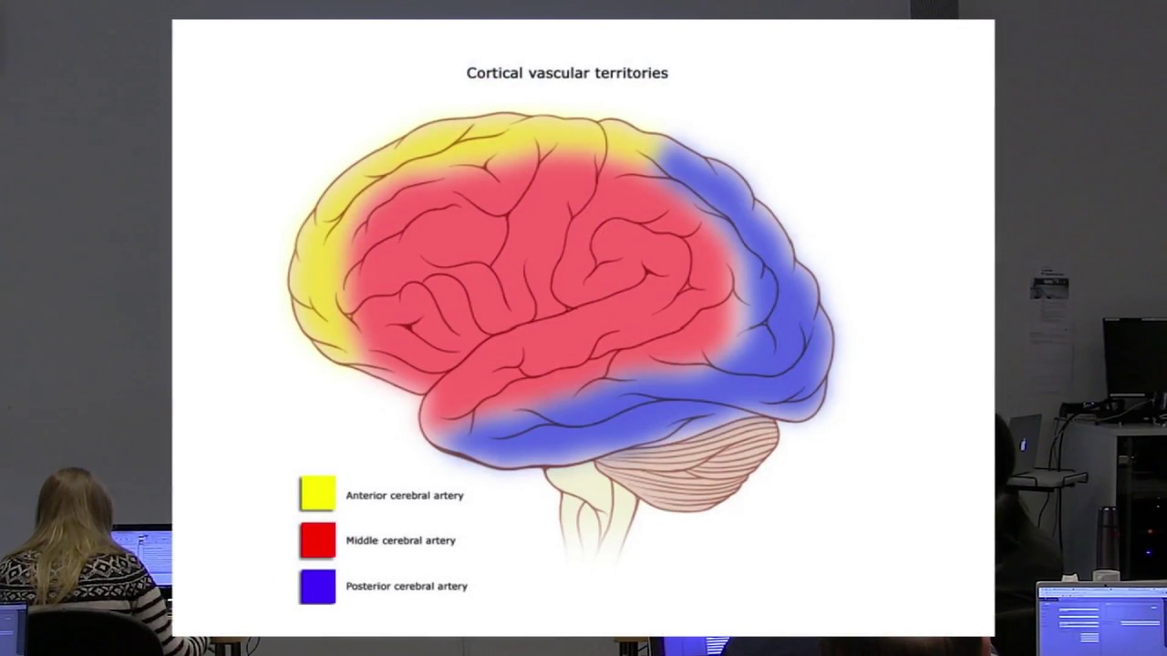 VIDEO: TVB Clinical Applications - Part I: Stroke Recovery & Dementia