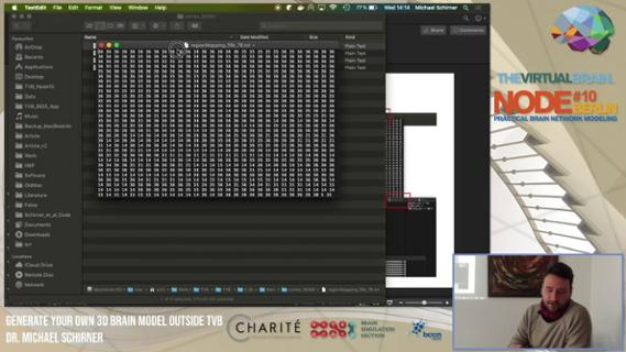 VIDEO: Generate your own 3D brain model outside The Virtual Brain