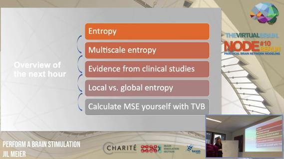 VIDEO: Multi-scale entropy: an abstract measure with clinical application