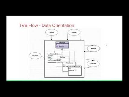 VIDEO: TVB in the Human Brain Project cloud