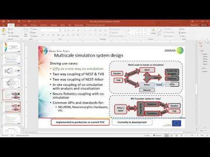 VIDEO: TVB-NEST-Elephant workflow